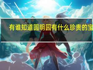 有谁知道圆明园有什么珍贵的宝物