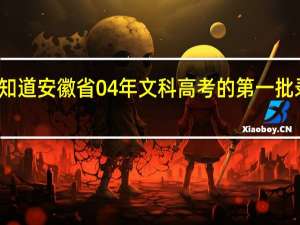 有谁知道安徽省04年文科高考的第一批录取分数线