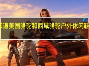 有谁知道美国骆驼和西域骆驼户外休闲鞋是一回事吗