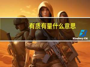 有质有量什么意思