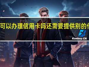 有车可以办理信用卡吗还需要提供别的什么资料吗