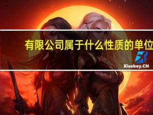 有限公司属于什么性质的单位