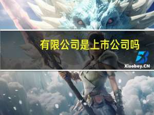 有限公司是上市公司吗