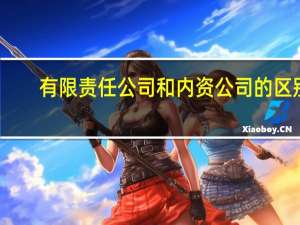 有限责任公司和内资公司的区别（一人有限责任公司和内资有限责任公司有什么区别）