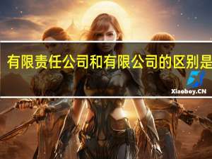 有限责任公司和有限公司的区别是什么