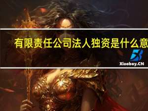 有限责任公司法人独资是什么意思