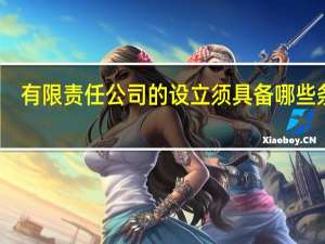 有限责任公司的设立须具备哪些条件