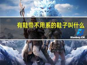 有鞋带不用系的鞋子叫什么