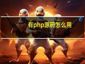 有php源码怎么用