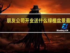朋友公司开业送什么绿植盆景最好（朋友公司开业送什么礼物好）