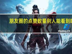 朋友圈的点赞数量别人能看到吗