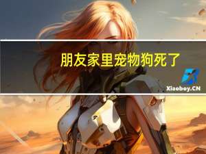 朋友家里宠物狗死了