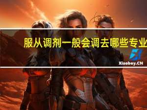 服从调剂一般会调去哪些专业