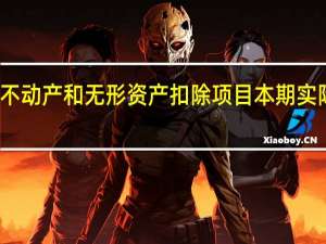 服务不动产和无形资产扣除项目本期实际扣除金额
