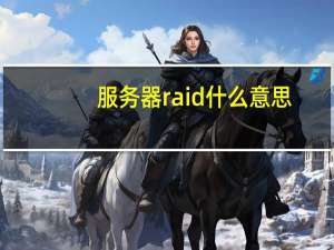 服务器raid什么意思（raid是什么意思）