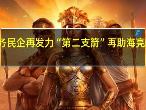 服务民企再发力 “第二支箭”再助海亮债券融资