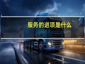 服务的进项是什么