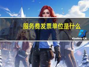 服务费发票单位是什么
