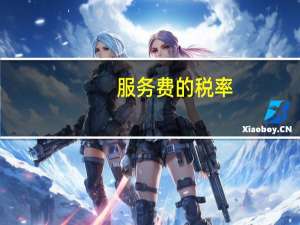 服务费的税率