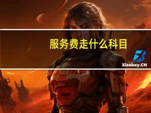 服务费走什么科目