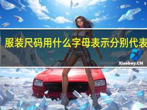 服装尺码用什么字母表示分别代表什么