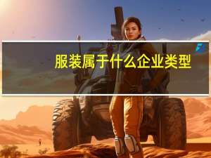服装属于什么企业类型