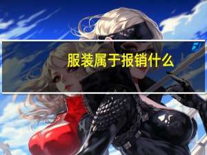 服装属于报销什么