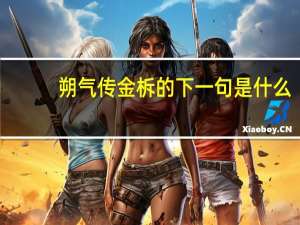 朔气传金柝的下一句是什么