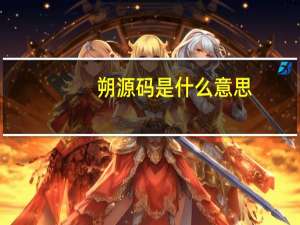 朔源码是什么意思