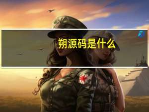朔源码是什么