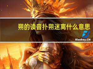 朔的读音扑朔迷离什么意思