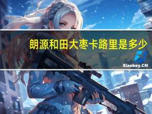 朗源 和田大枣卡路里是多少