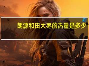 朗源 和田大枣的热量是多少