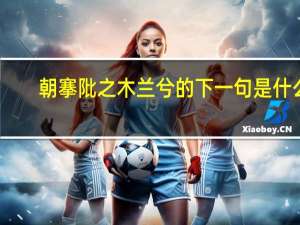 朝搴阰之木兰兮的下一句是什么