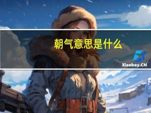 朝气意思是什么