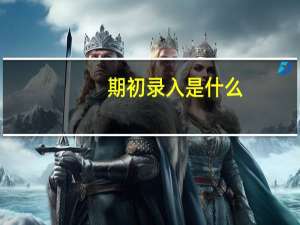 期初录入是什么