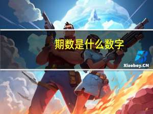 期数是什么数字
