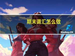 期末调汇怎么做（期末调汇的会计处理）