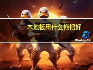 木地板用什么拖把好