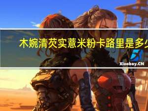 木婉清 芡实薏米粉卡路里是多少