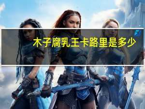 木子 腐乳王卡路里是多少