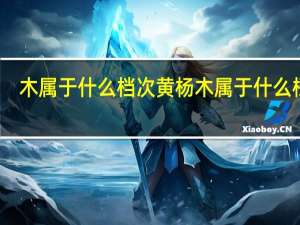 木属于什么档次 黄杨木属于什么档次