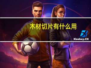 木材切片有什么用