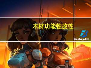 木材功能性改性