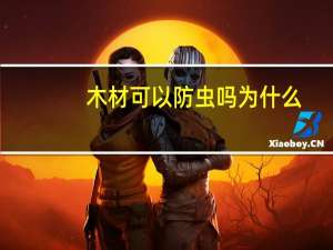 木材可以防虫吗为什么