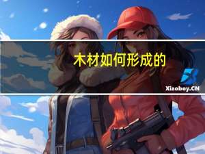 木材如何形成的
