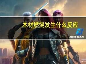 木材燃烧发生什么反应