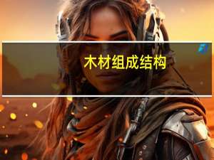 木材组成结构