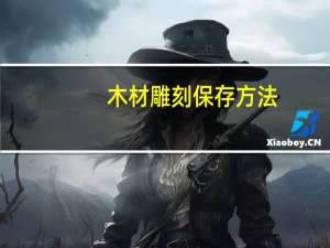 木材雕刻保存方法
