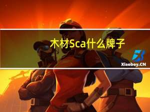 木材Sca什么牌子